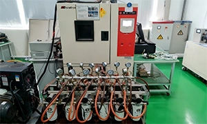 High and Low Temperature Storage Chambers