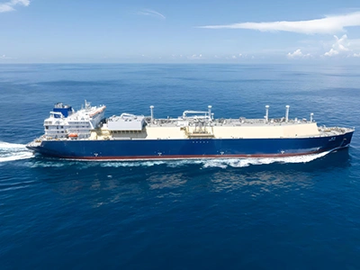 Skeleton oil seals for marine applications